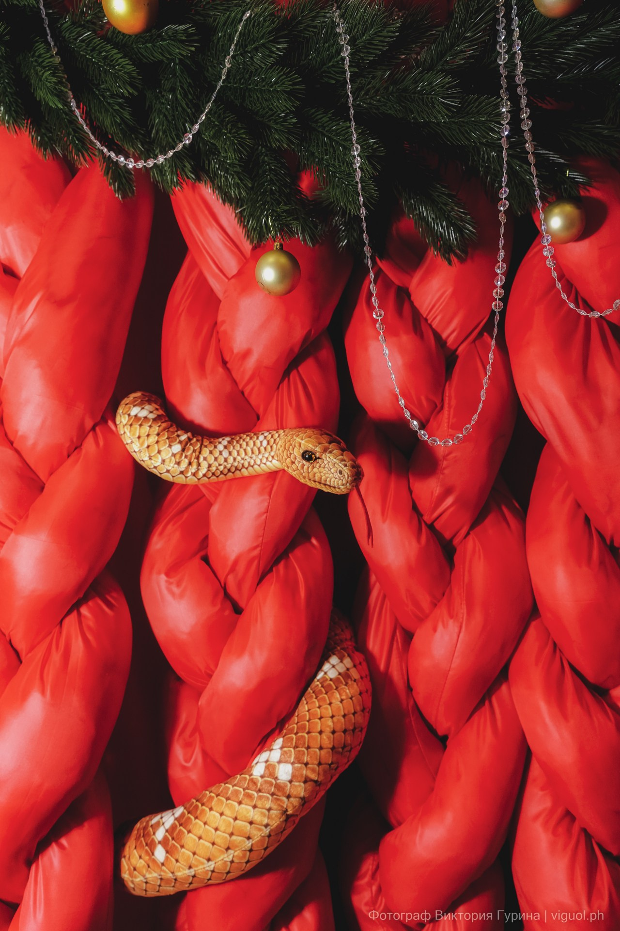 Репортажная съемка от Виктории Гуриной. Фотограф Санкт-Петербург Виктория Гурина