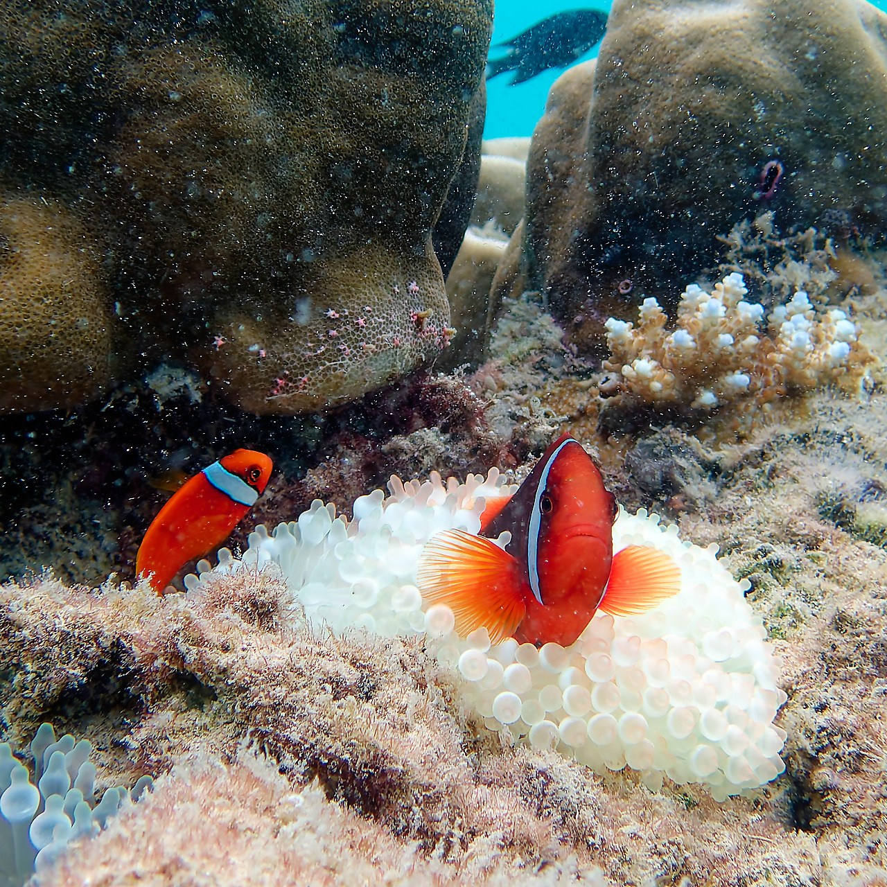 Мне посмотреть. Рыбов показываю