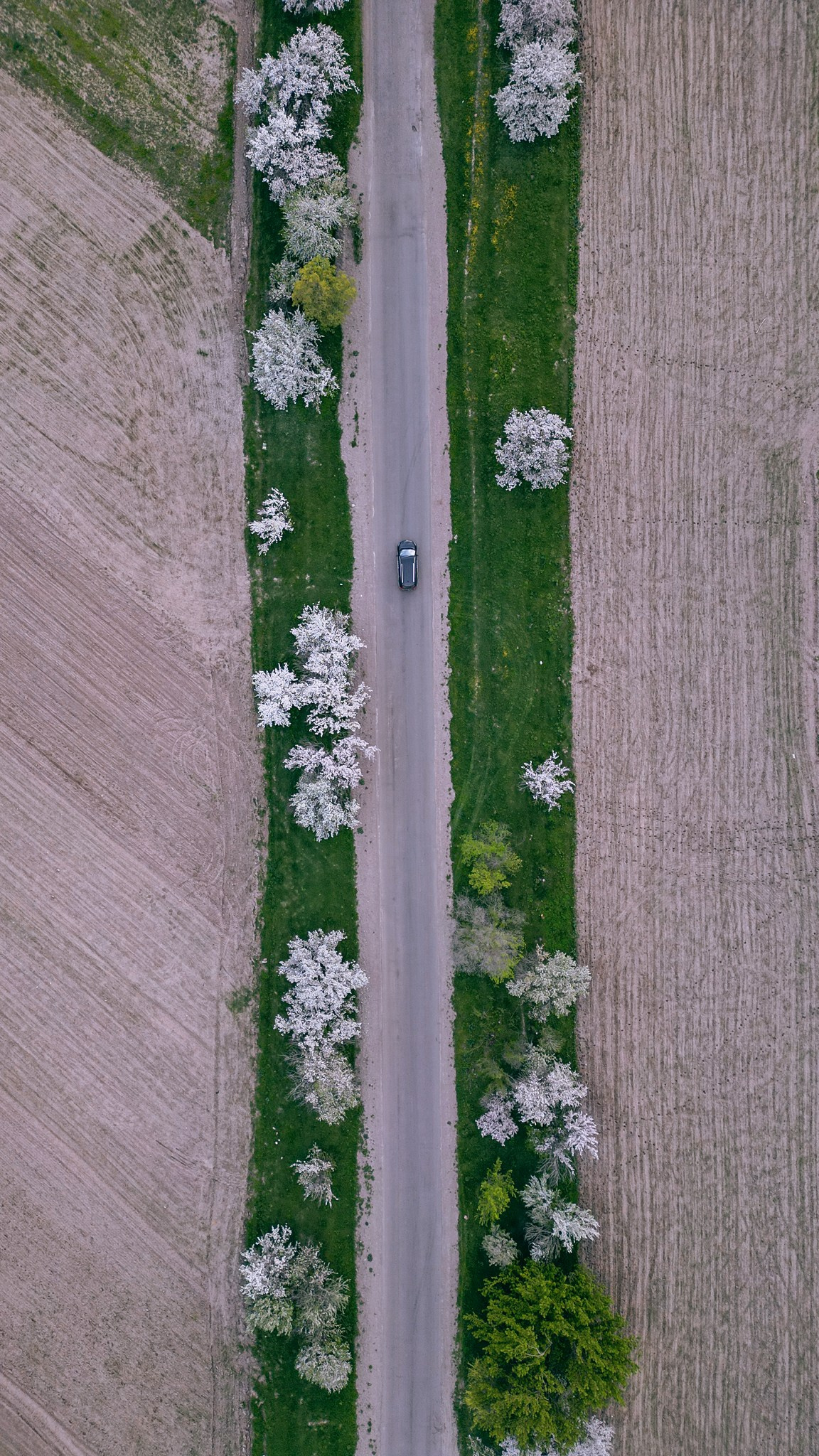 Кыргызстан. Человек с фотокамерой