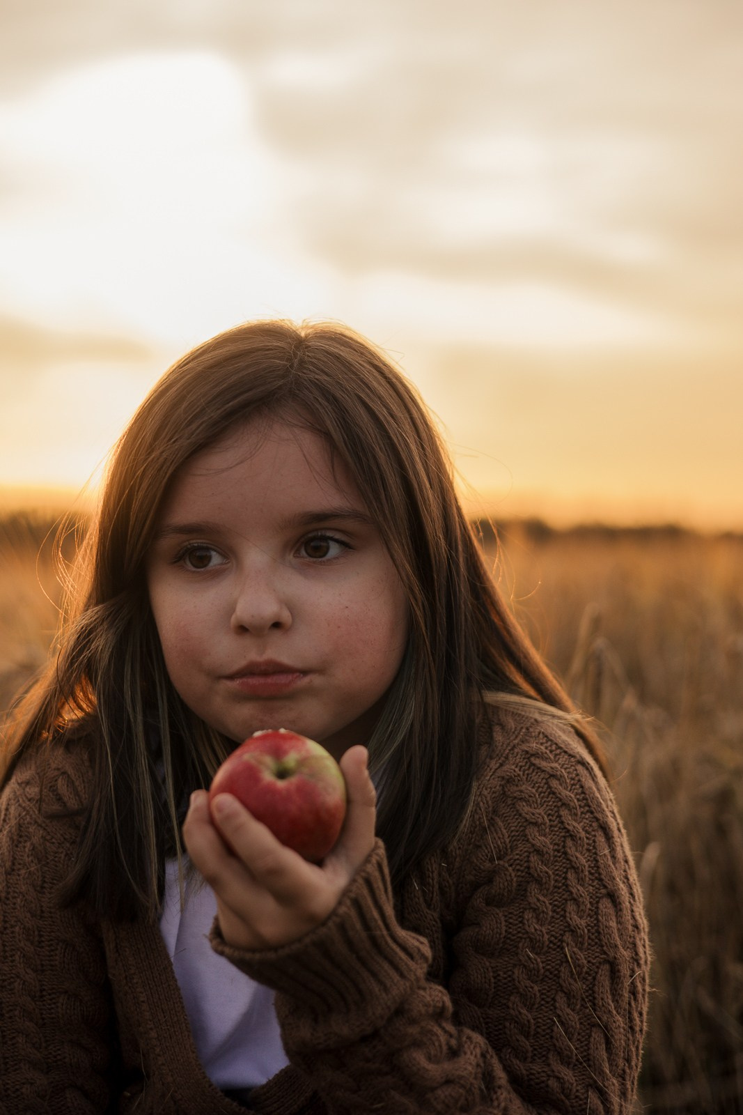 Семья в поле. Фотограф в Москве и Домодедово Ирина Коростелева