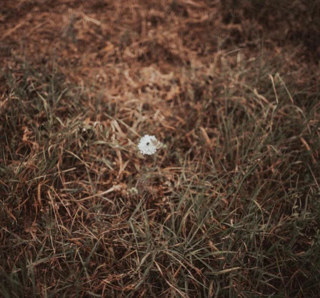 Надежда&Родион. Фотограф в Санкт Петербурге и Москве Анастасия Сиволод