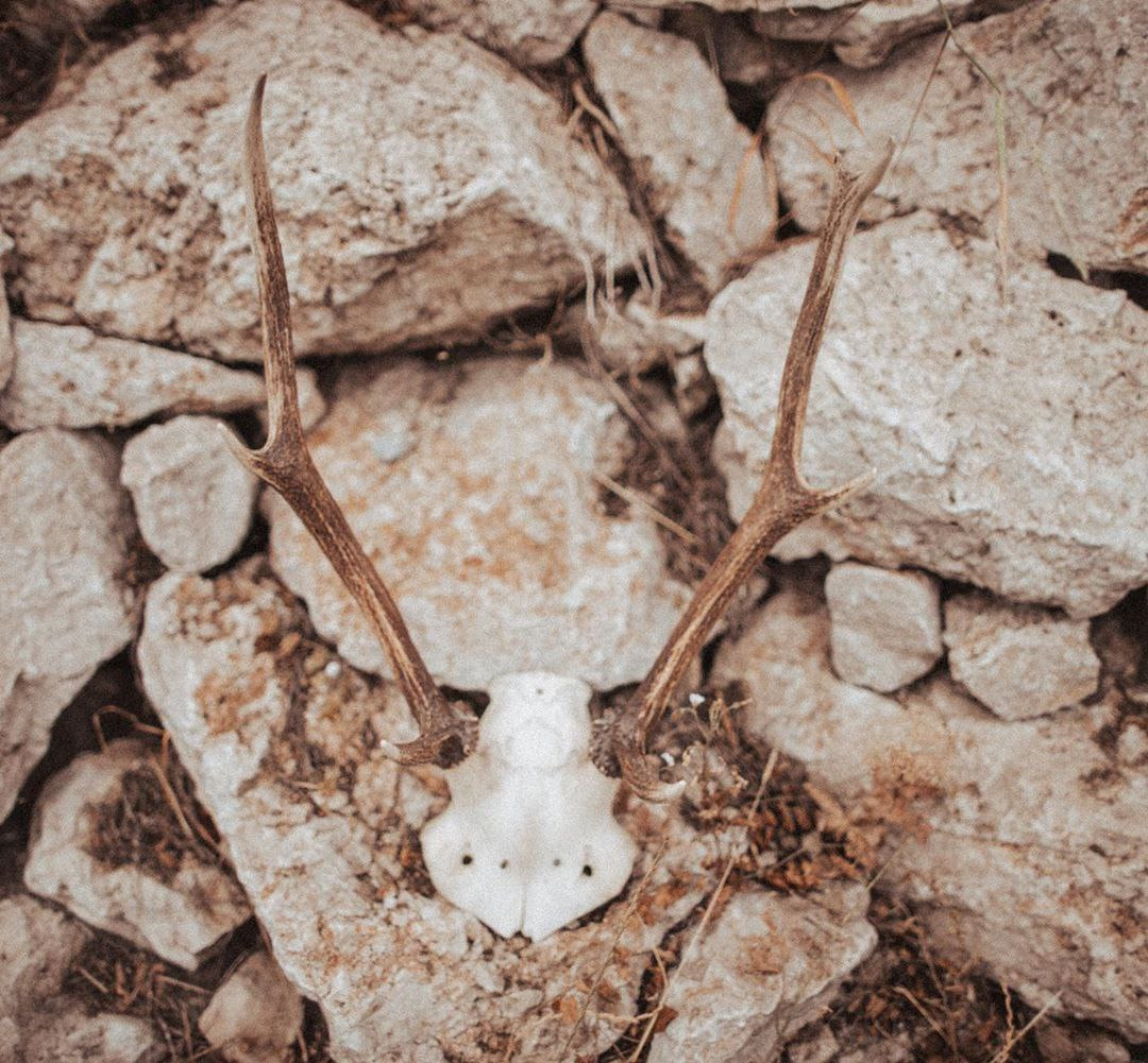 Надежда&Родион. Фотограф в Санкт Петербурге и Москве Анастасия Сиволод