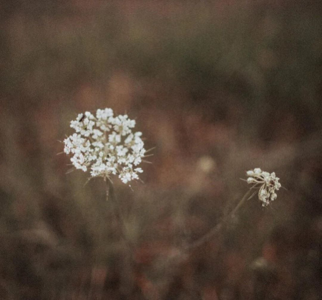 Надежда&Родион. Фотограф в Санкт Петербурге и Москве Анастасия Сиволод