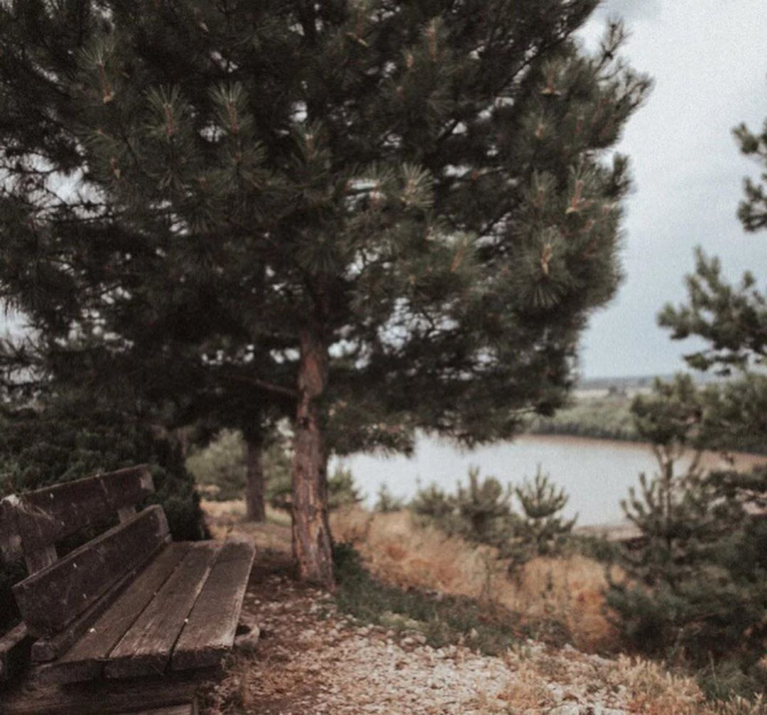 Надежда&Родион. Фотограф в Санкт Петербурге и Москве Анастасия Сиволод