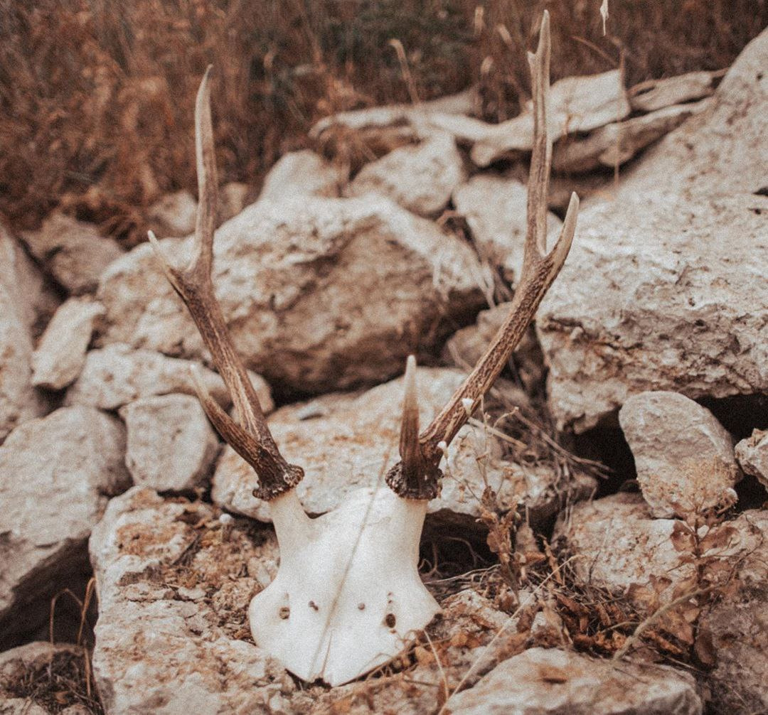 Надежда&Родион. Фотограф в Санкт Петербурге и Москве Анастасия Сиволод