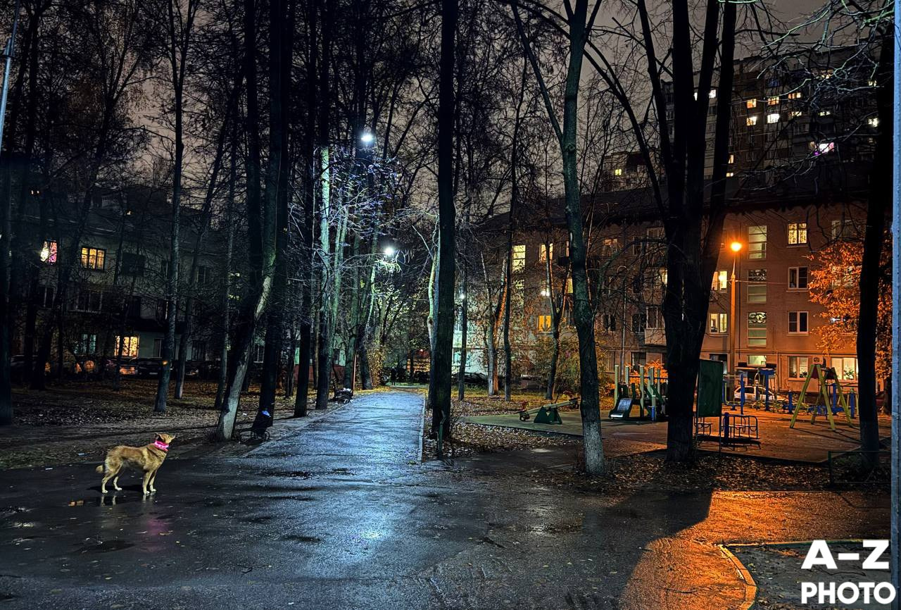 Фотонедели. Женский семейный фотограф Тула Москва Захарова Анна