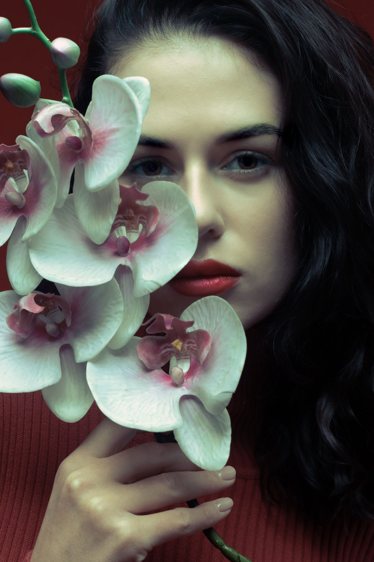 Портфолио. Фотограф