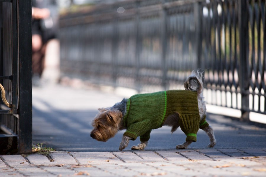 Работы учеников школы. Фотостудия Алматы. Фотосъемка Алматы. Фотосессия Алматы. Фотокурсы. Обучение фотографии. Аренда студии