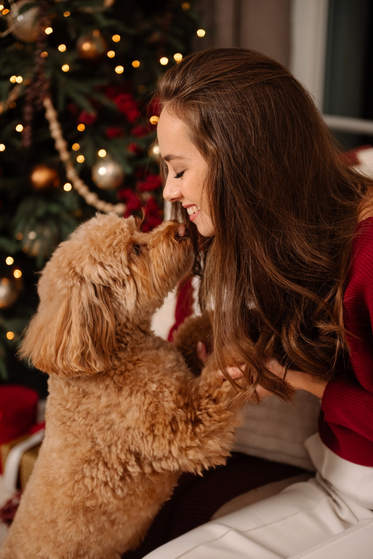Индивидуальная. Анастасия с собачкой. Свадебный и сеейный фотограф в Санкт-Петербурге Елена Худякова