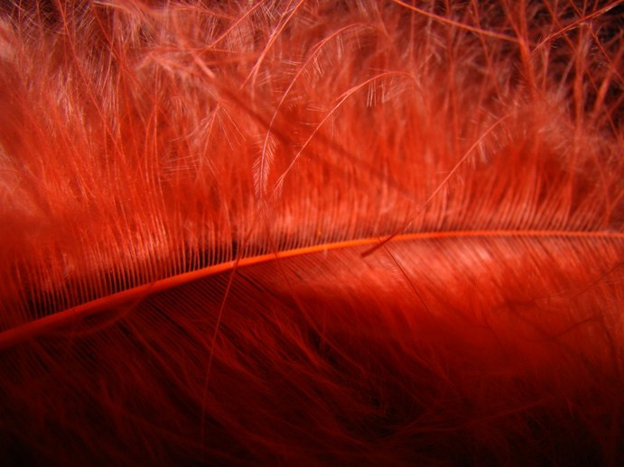 Самые первые мои фотографии. Елена Берсенева, фотограф