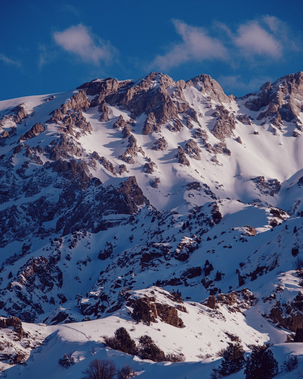 Узбекистан. Фотограф Дмитрий Олрайт | Калуга, Россия