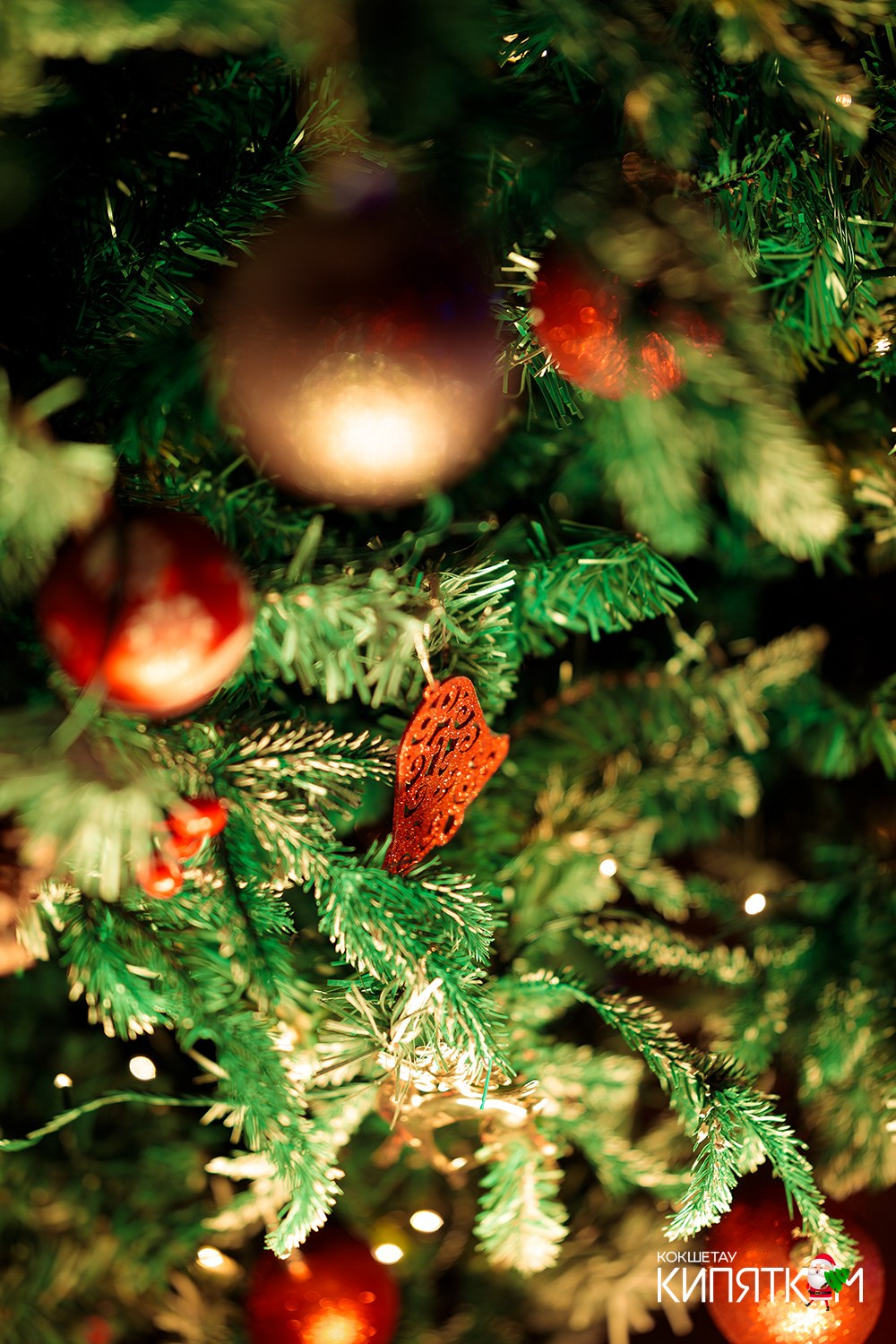 VA-VA. КИПЯТКОМ КОКШЕТАУ