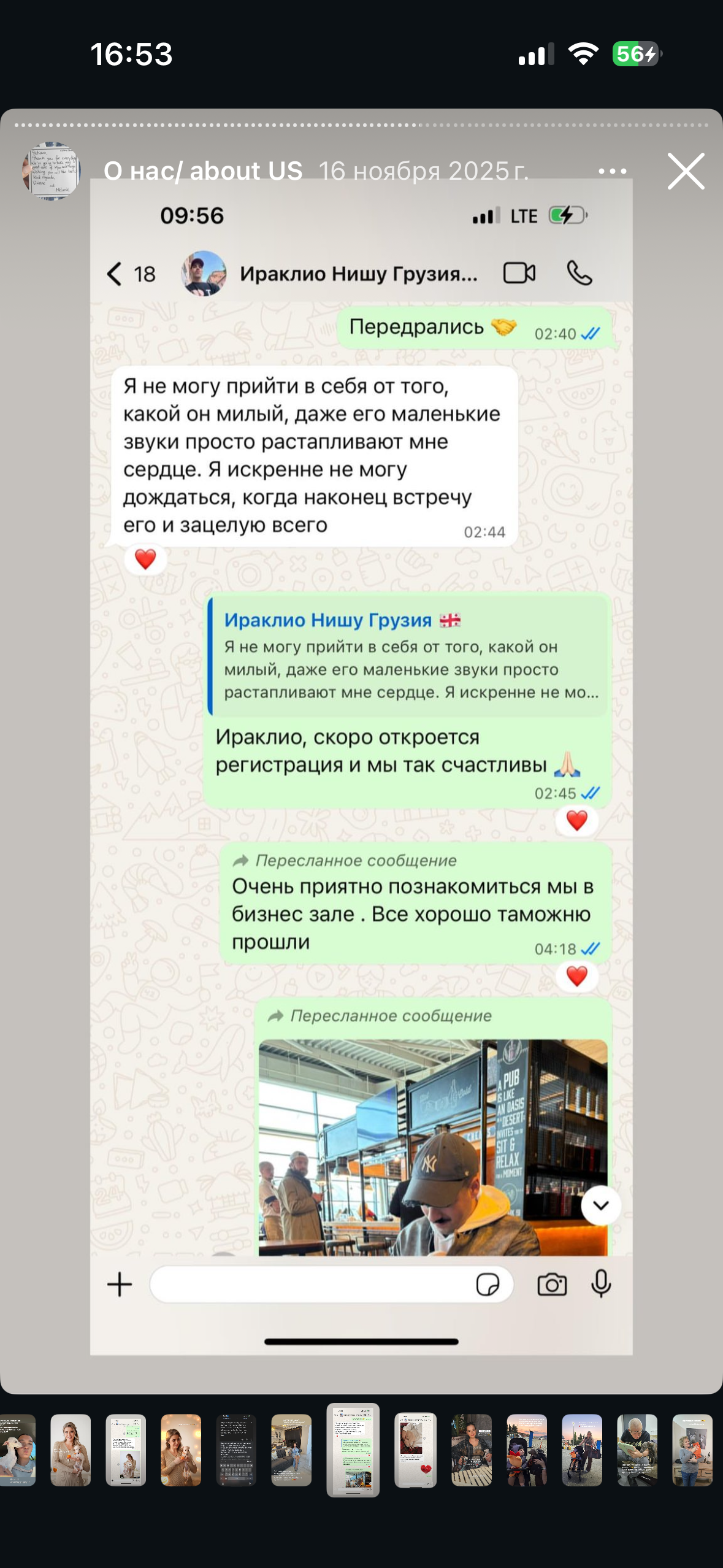 Отзывы от наших любимых владельцев. Профессиональный питомник левреток РКФ/FCI ASTI SAPPHIRE 💎 Сочи|Санкт-Петербург