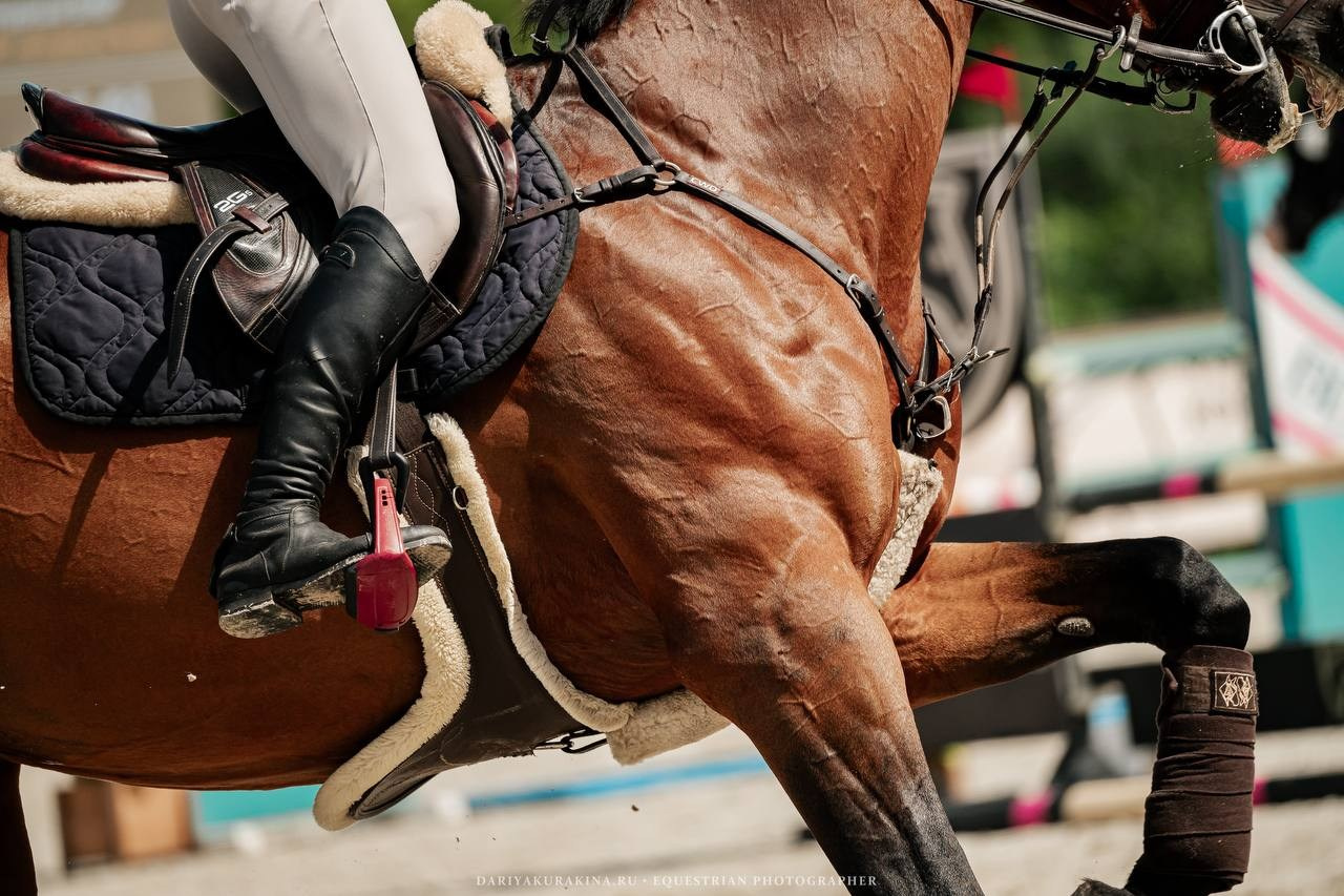 КОНКУРНЫЙ БУМ — КСК «ВИВАТ, РОССИЯ!». 2 неделя. Куракина Дарья • Конный фотограф
