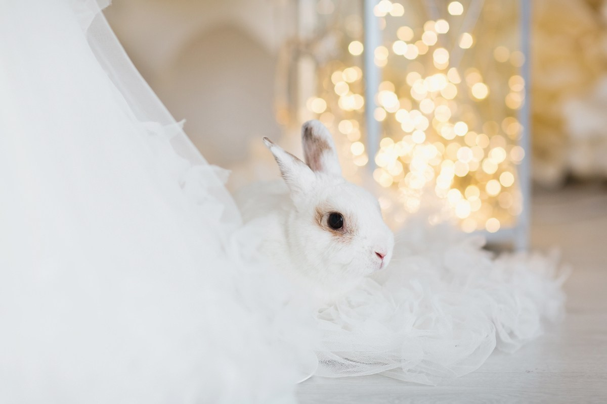 АНТОН И СВЕТЛАНА. Семейный фотограф новорождённых в Серпухове Юлия Новикова +79637785957