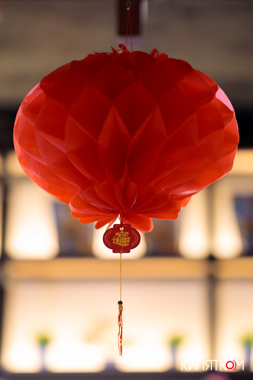 HANAMI. КИПЯТКОМ КОКШЕТАУ