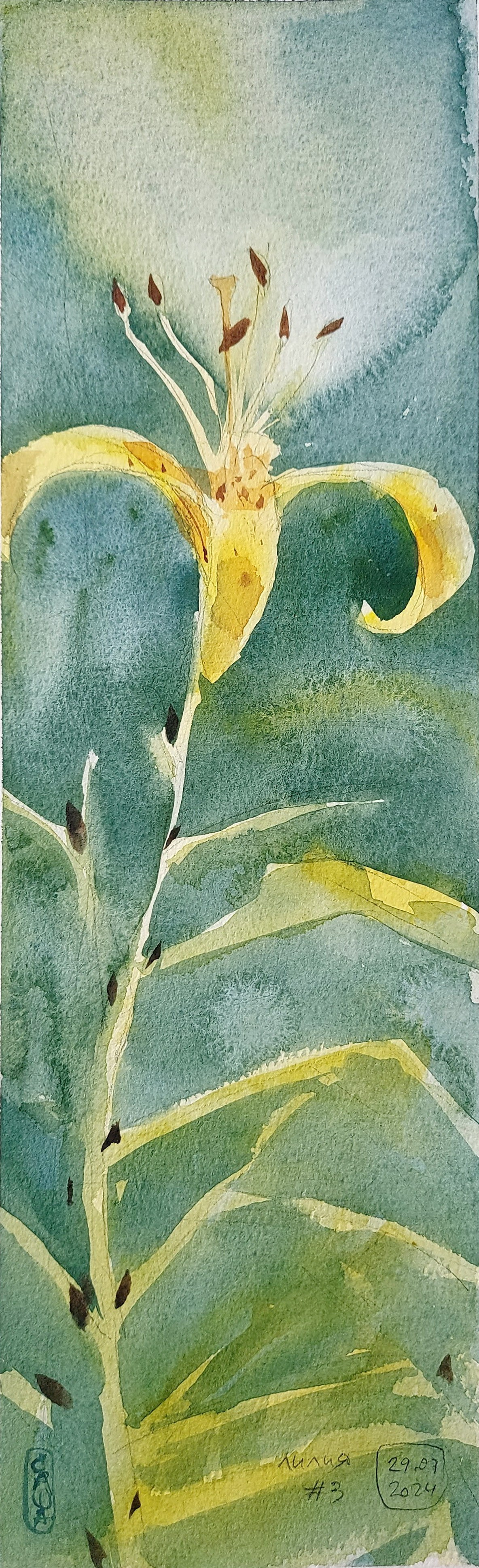 Flowers. Alexander Manaenkov | Watercolor Artist from Siberia