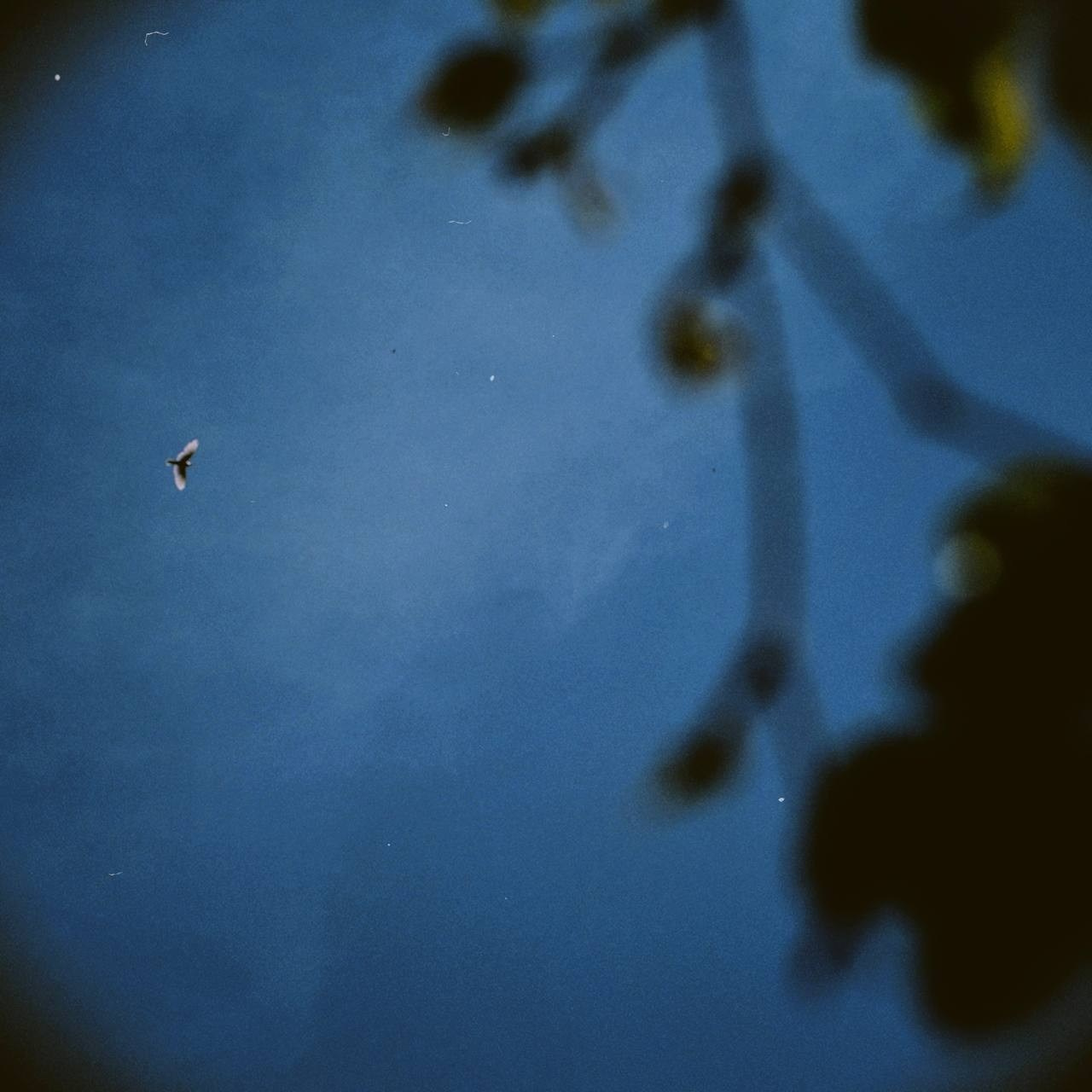 Мир вокруг. Фотограф и психолог Мария Маринова