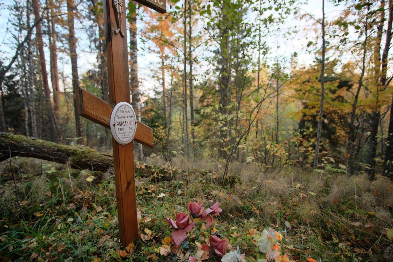 Архангельская область. Фотограф Евгений Андреев