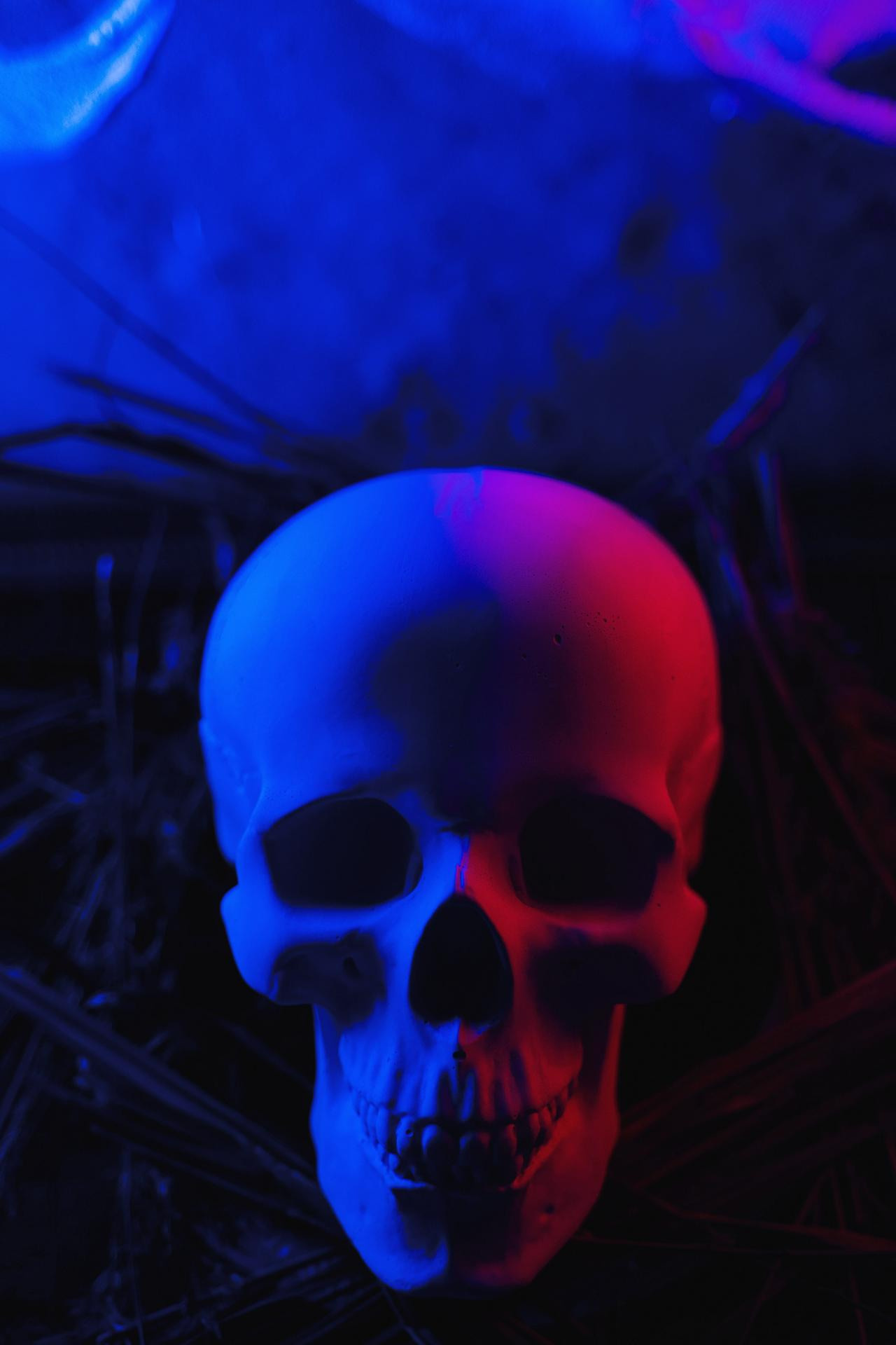 20201030 Exit halloween