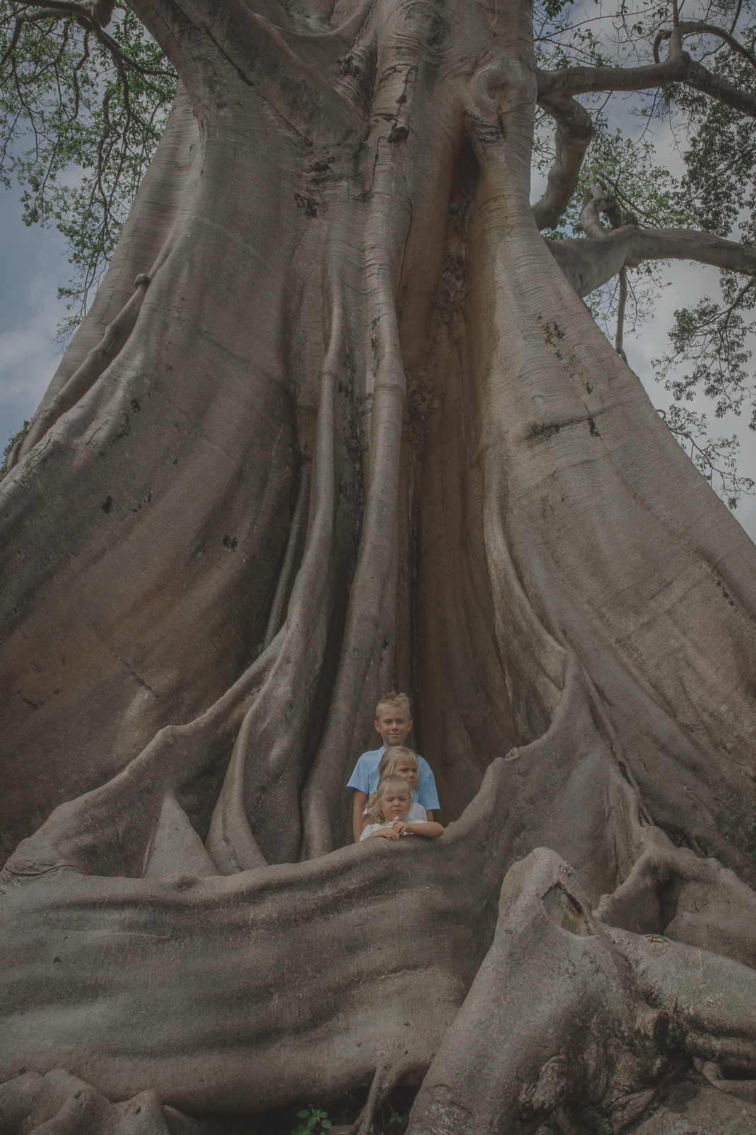 Детский портрет. Семейный и детский фотограф в Москве и на Бали Светлана Матюнина