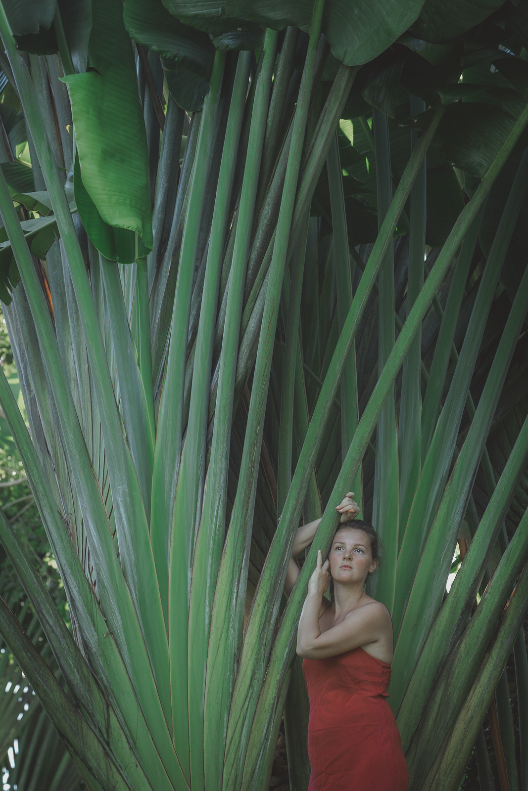 Женский портрет. Семейный и детский фотограф в Москве и на Бали Светлана Матюнина