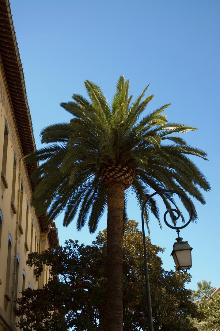 Круиз 2006 г. Улица, люди, жизнь…