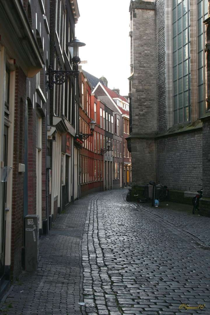 Голландия 2009 г. Улица, люди, жизнь…