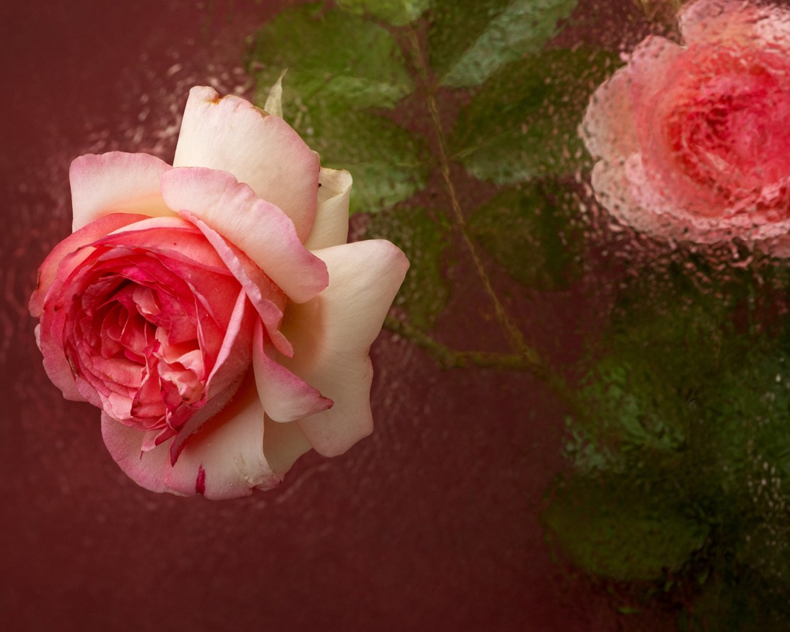 Unspoken. Author’s fine art prints with international delivery