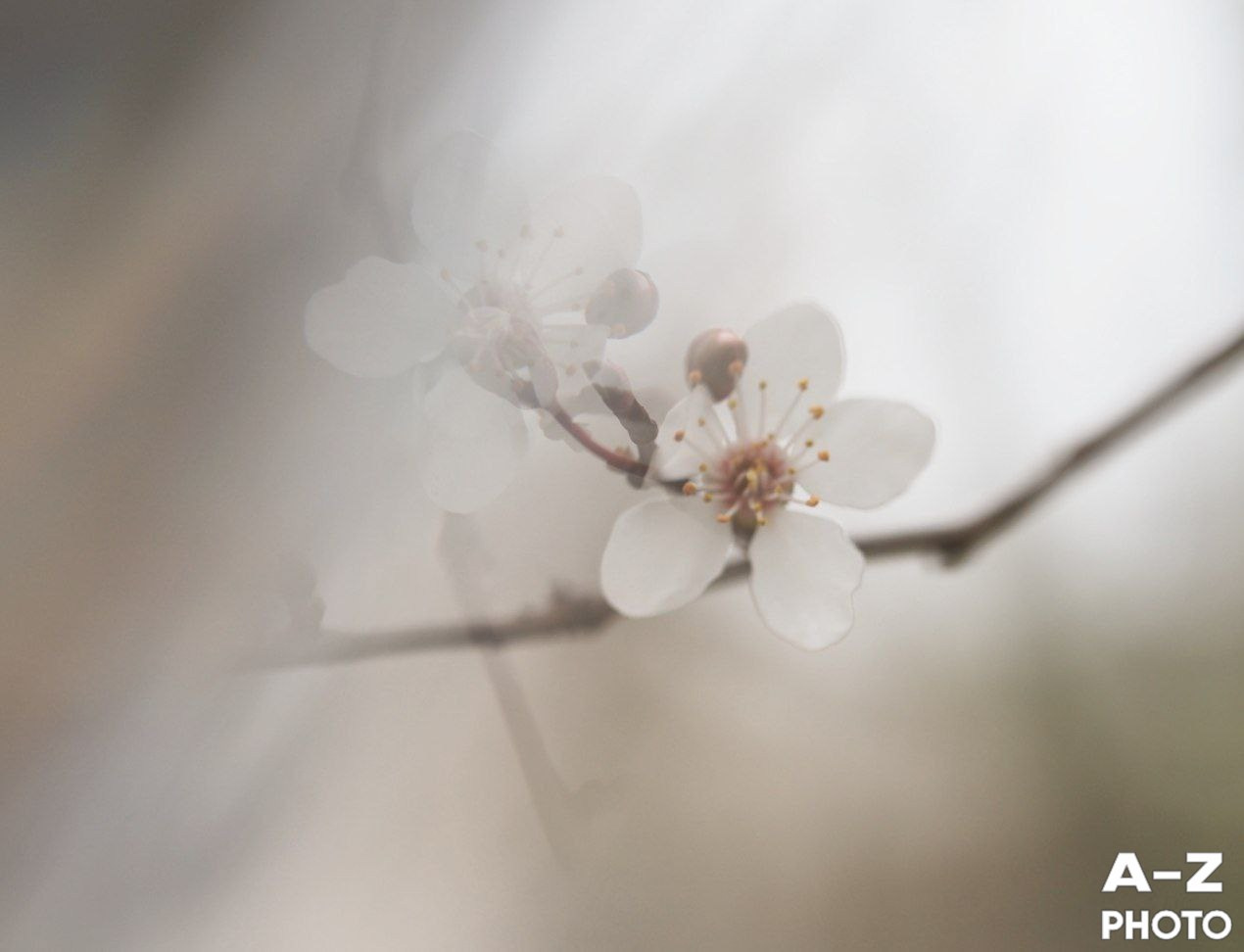 #ФОТОНЕДЕЛИ 15.02.2026. Женский семейный фотограф Тула Москва Захарова Анна