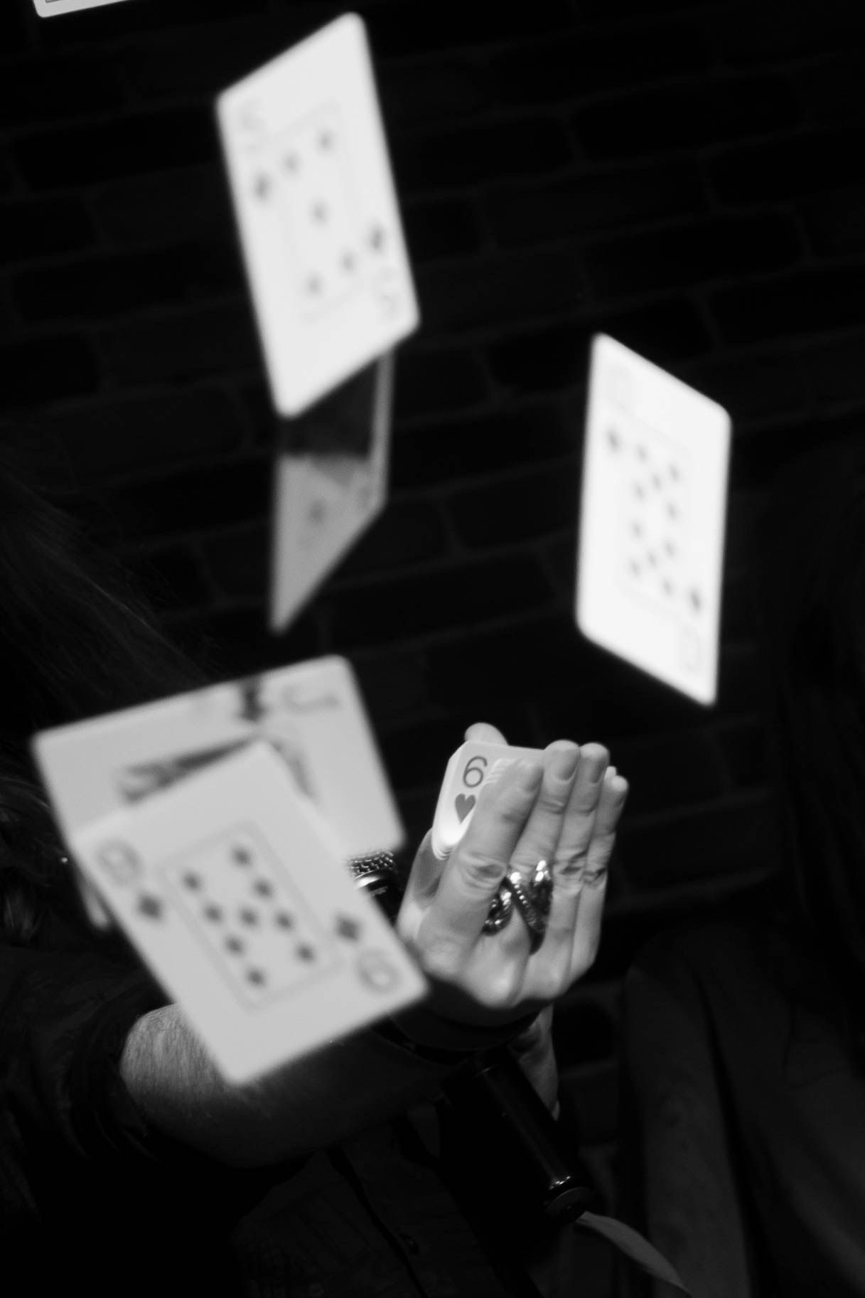 Concert Portfolio. Beautiful Delirium Photo