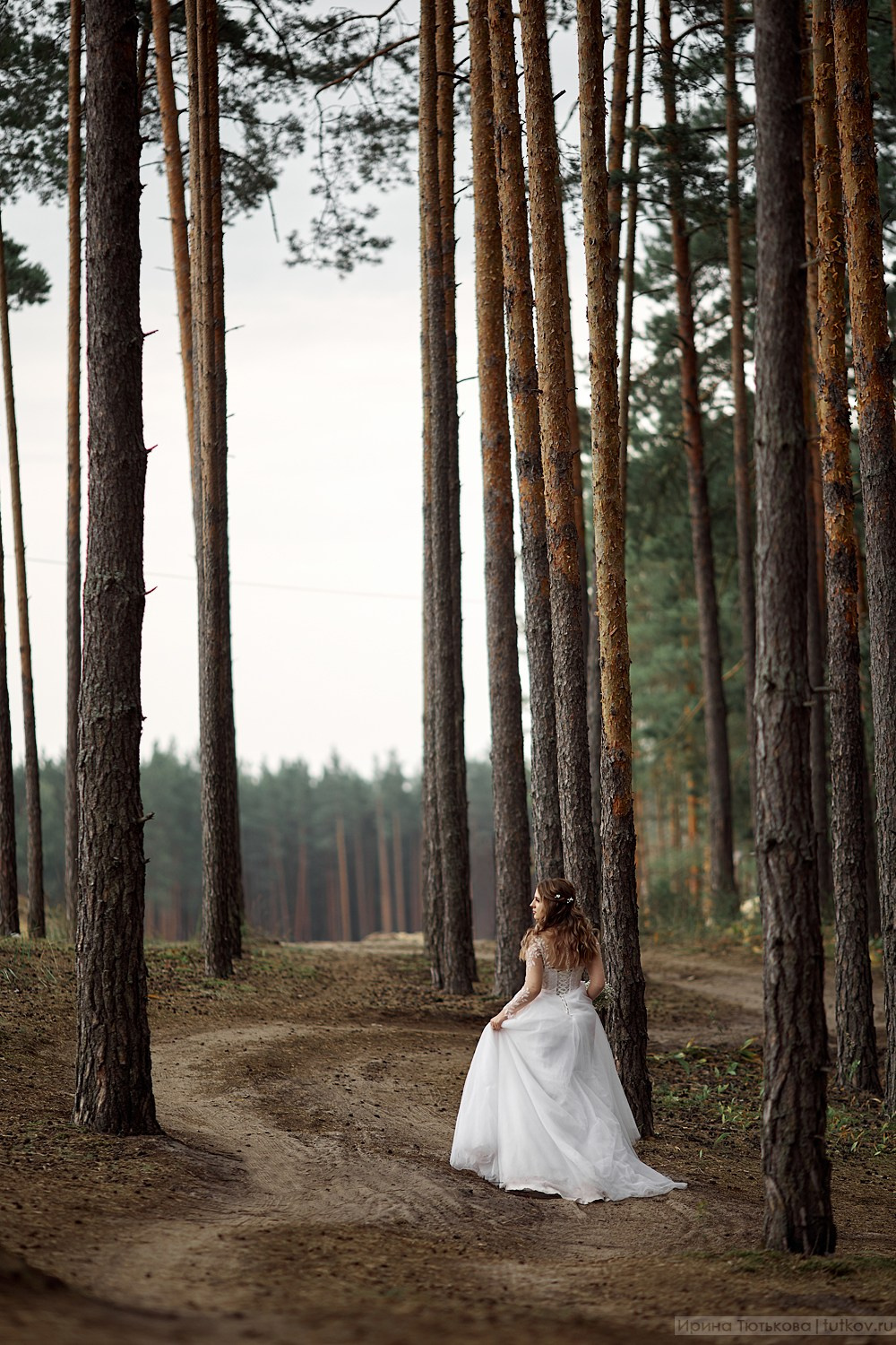 Алина и Александр. Свадебная фотосъёмка в Брянске | Влад и Ирина Тютьковы