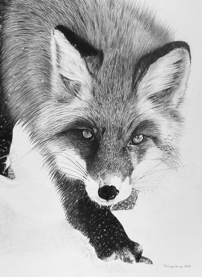 Финч Татьяна Николаевна. Галерея участников Российской Премии Искусств