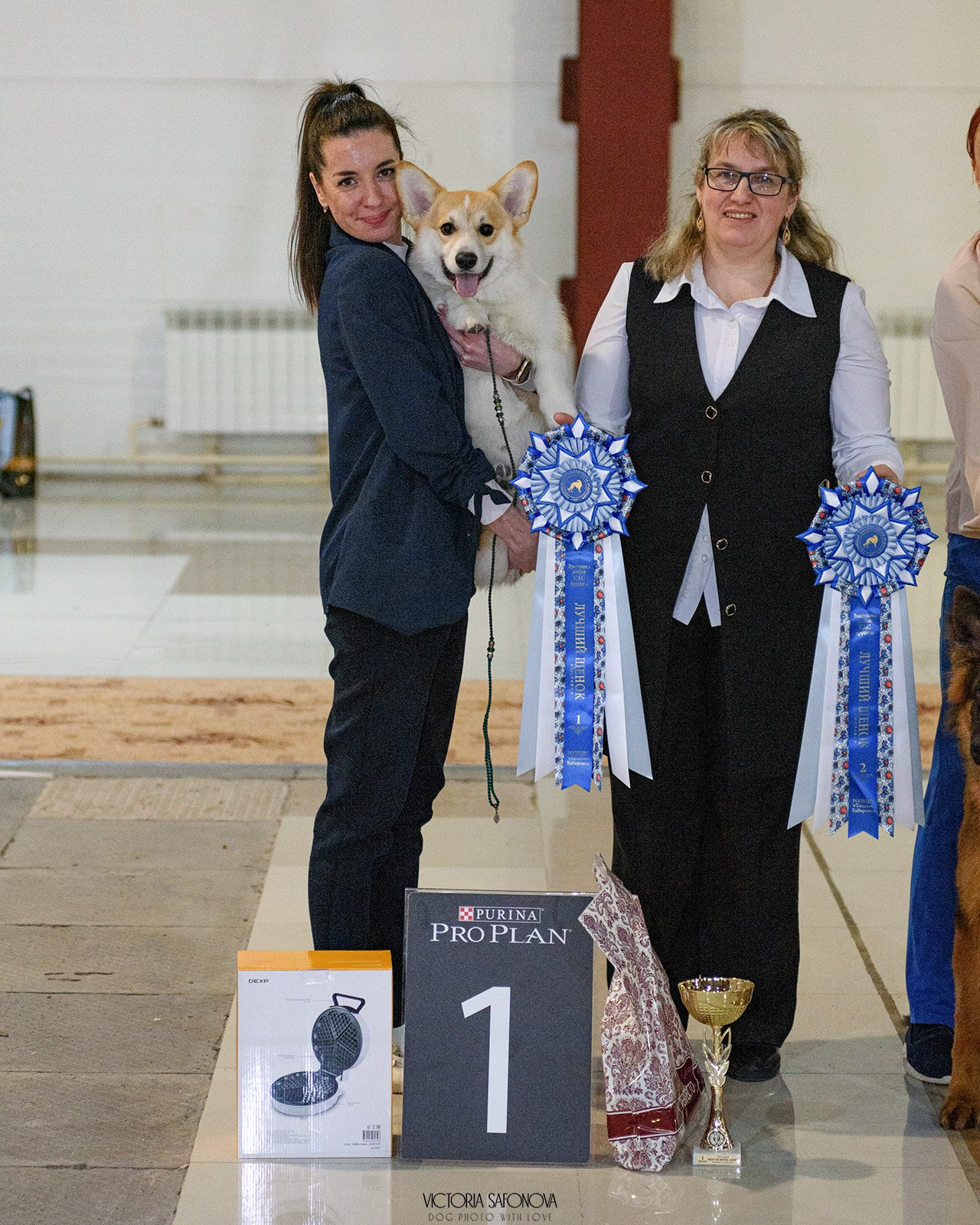 23 марта 2024 Хабаровск. Фотограф анималист Благовещенск. Сафонова Виктория