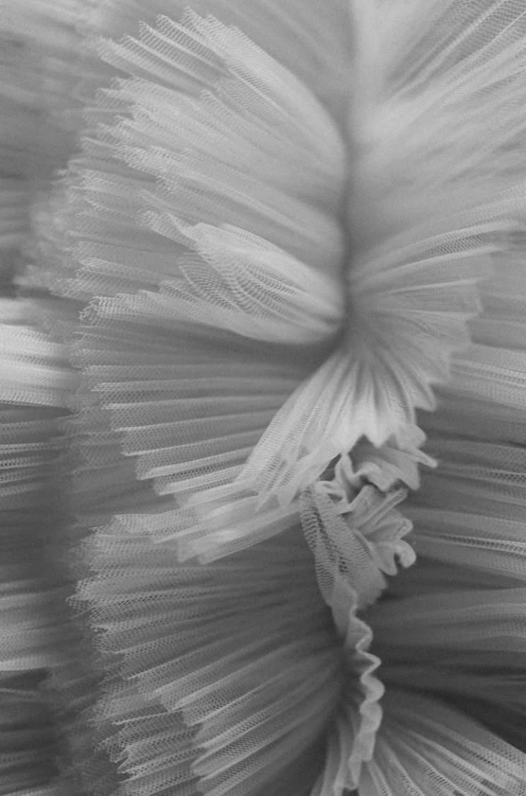 ДИМА | ЛЕСЯ. Мусс Алина фотограф