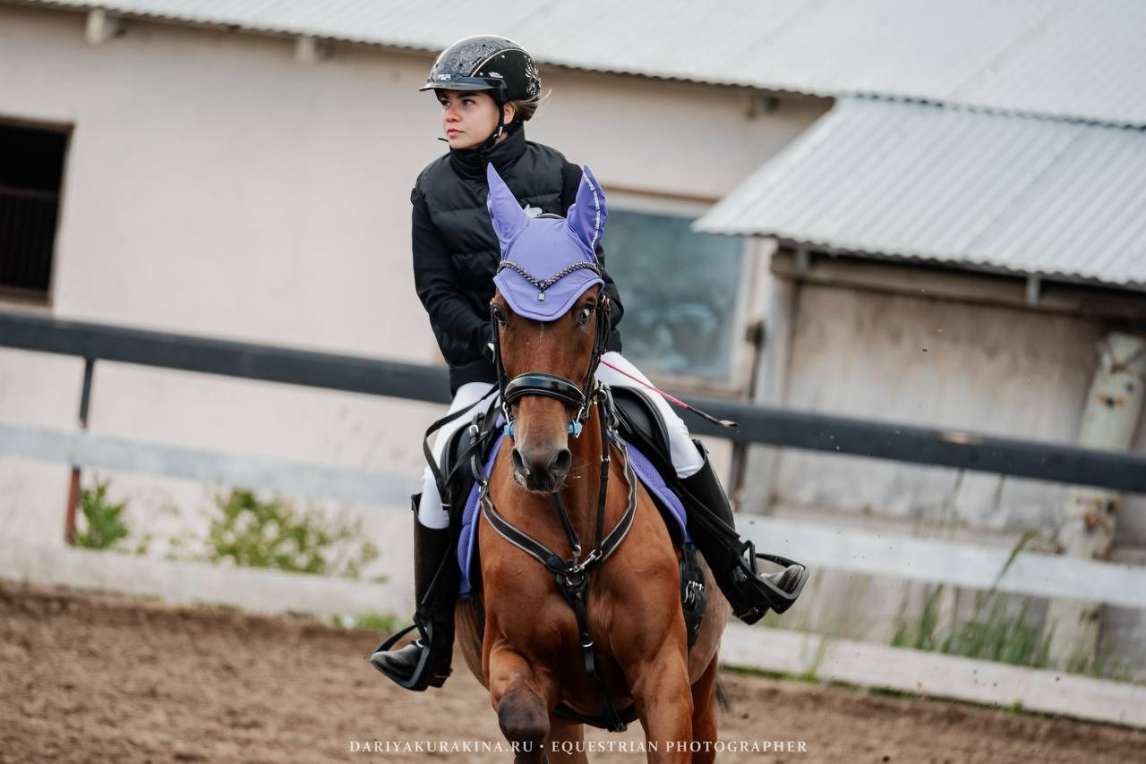 ЛЕТНИЙ КУБОК по КОНКУРУ, КСК «СОЗВЕЗДИЕ». Куракина Дарья • Конный фотограф