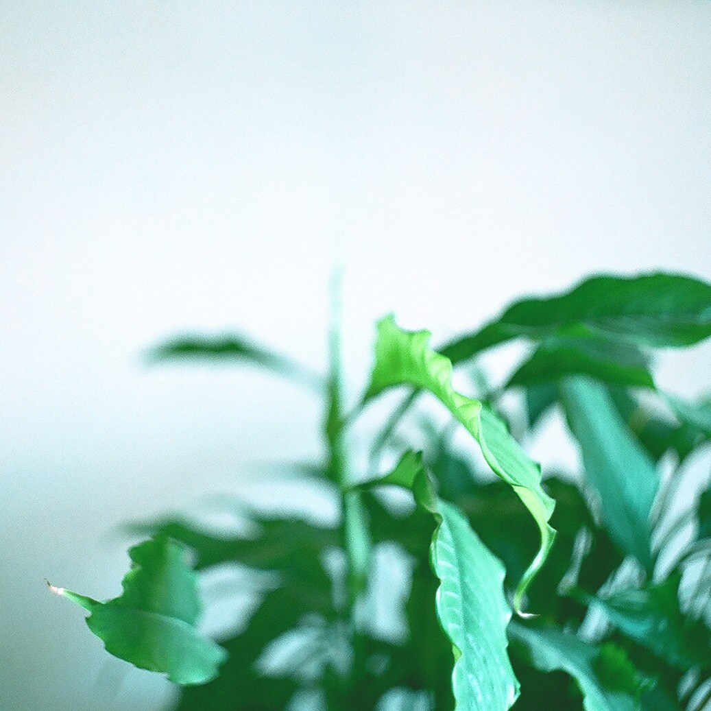 Object and lifestyle photography