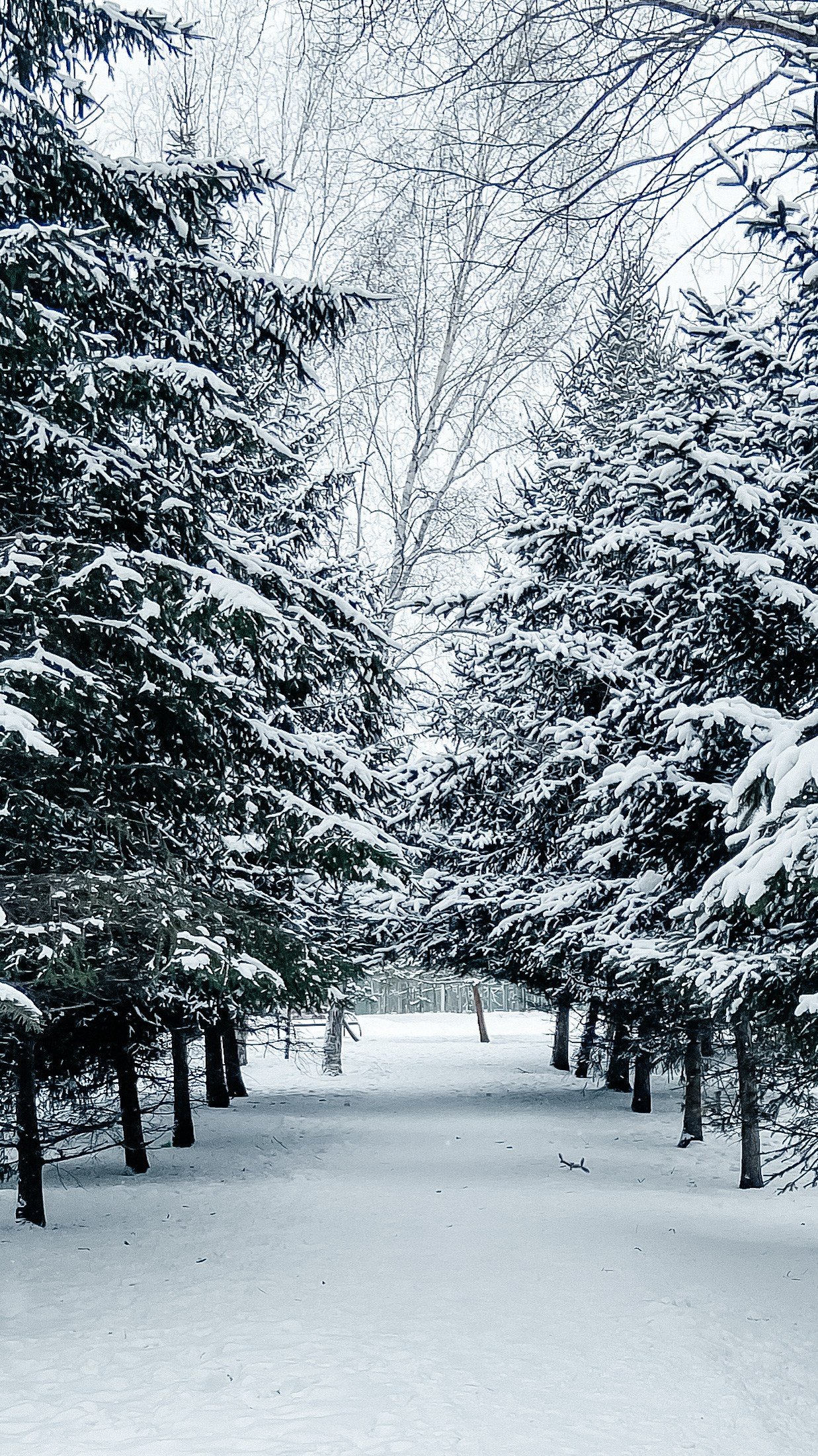 Природа Хабаровского края. Команда фотографов Кристины Ивановой
