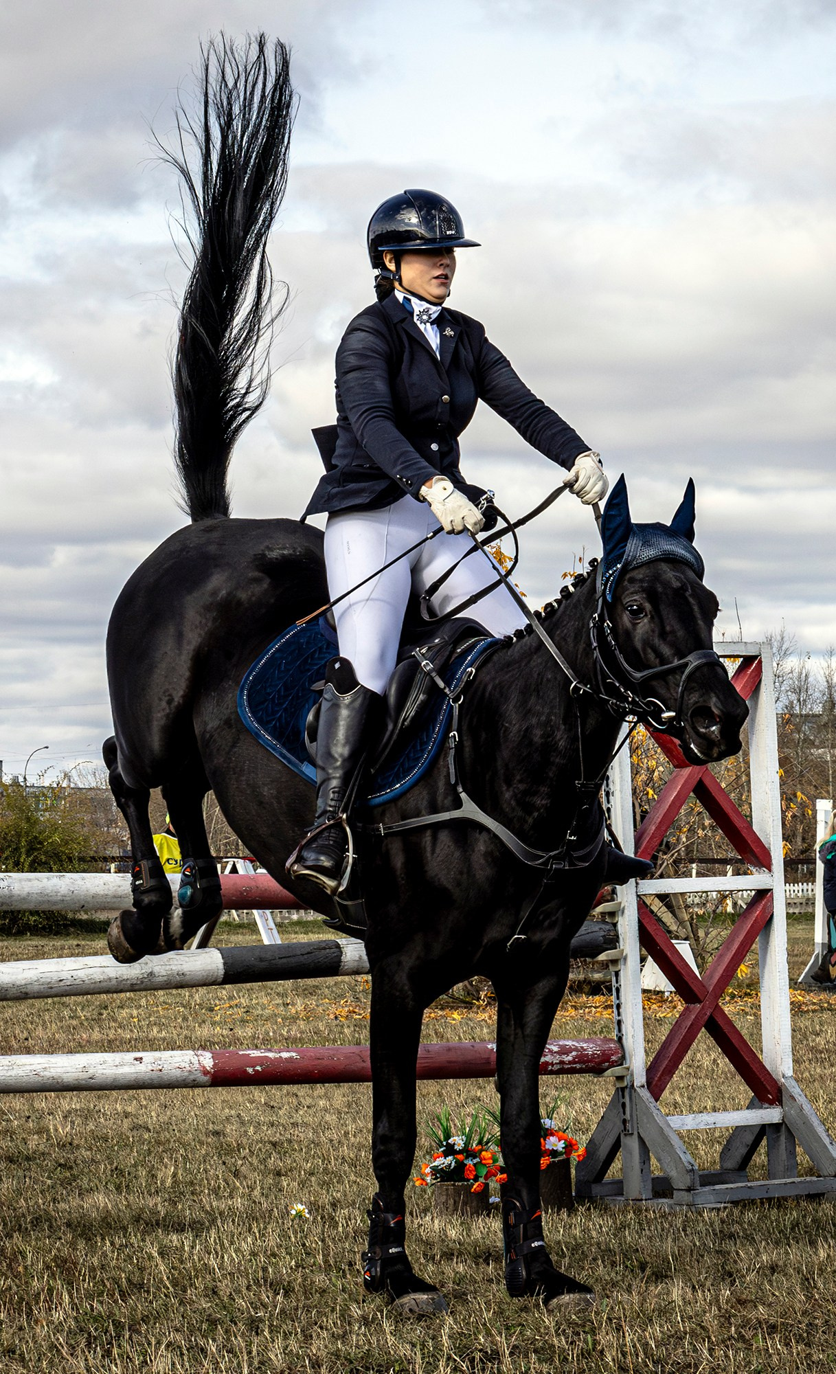 Конкур. Bertran Ordo