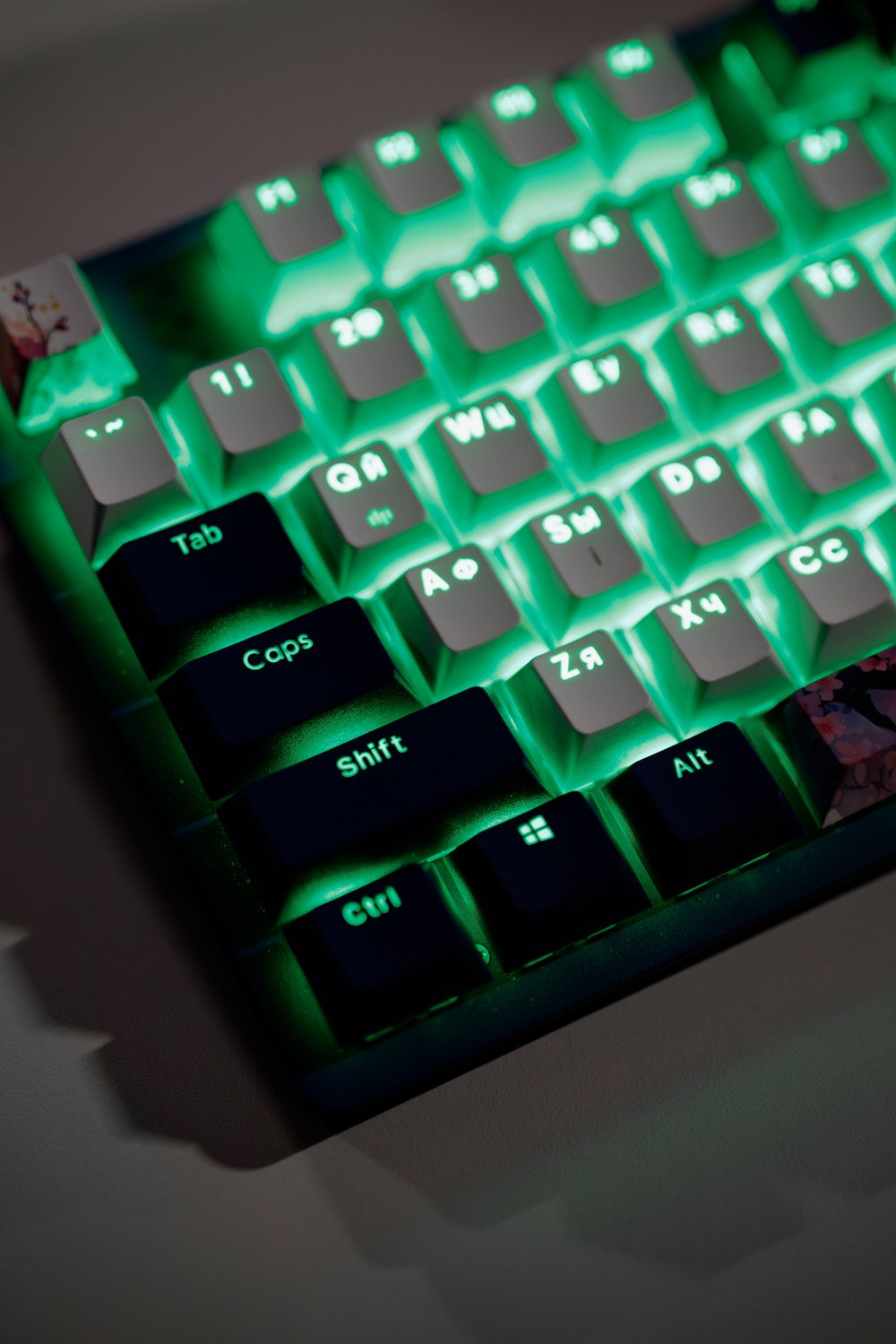 ABYROI cyber lounge. КИПЯТКОМ КОКШЕТАУ