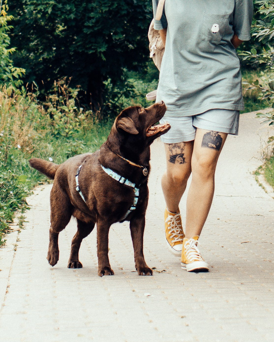 Вальда и Настя. Анна Самохина. Фотограф. Москва