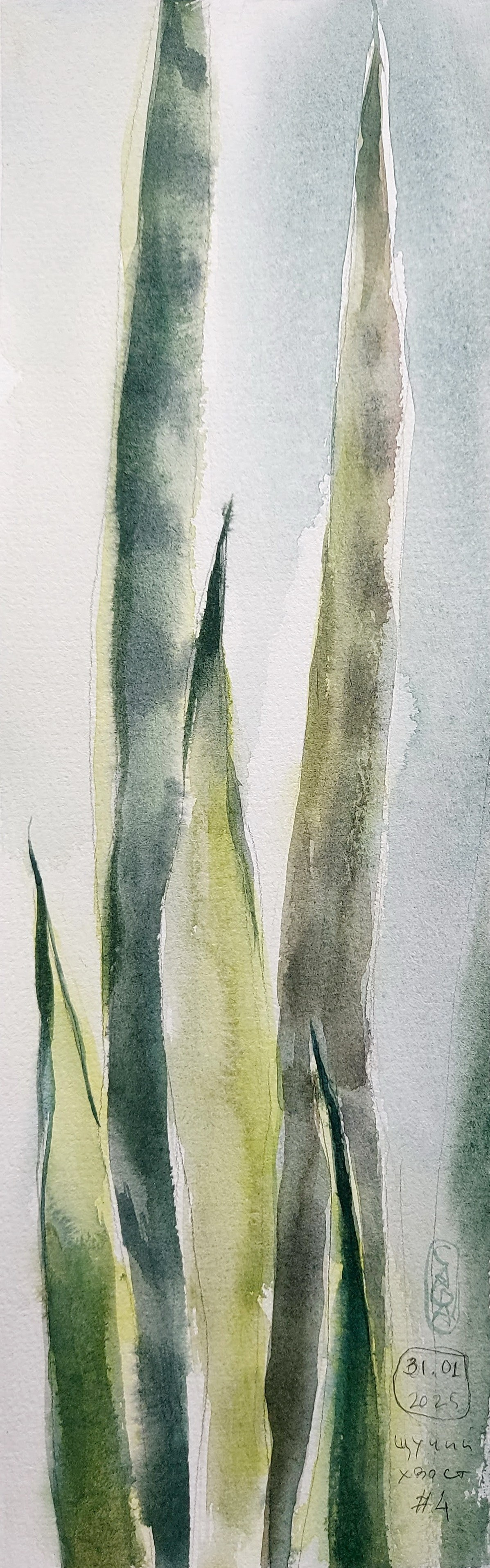 Flowers. Alexander Manaenkov | Watercolor Artist from Siberia