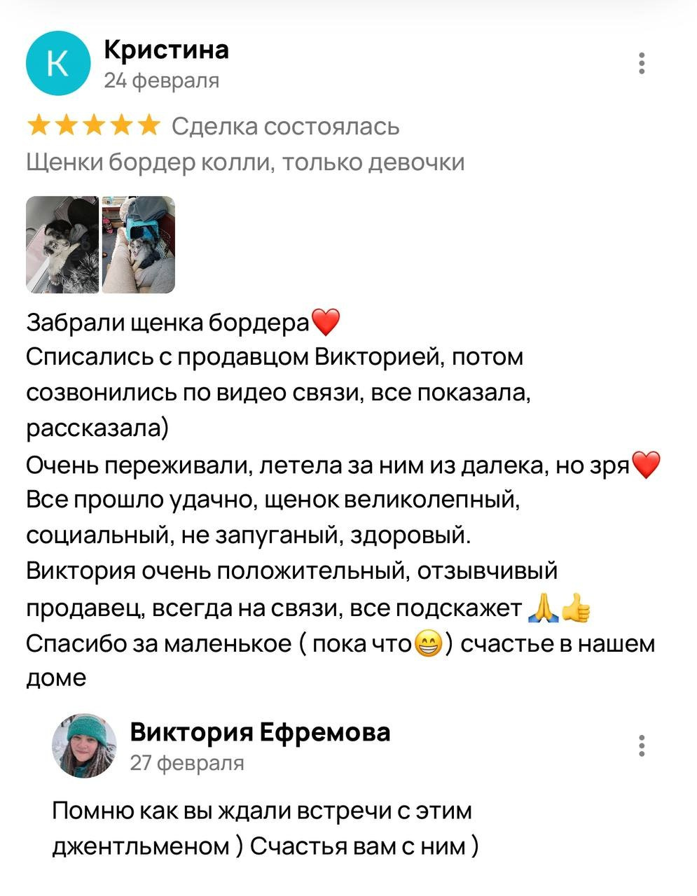 Фритсвит. Семейный фотограф Ефремова Виктория