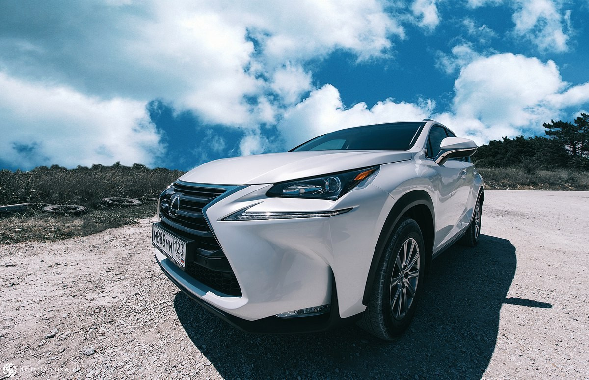 Разное. Дмитрий Пульс — фотограф, видеограф, рилсмейкер, нейрокреатор=) Снимаю в Новороссийске, Анапе, Геленджике, Краснодару и по Миру