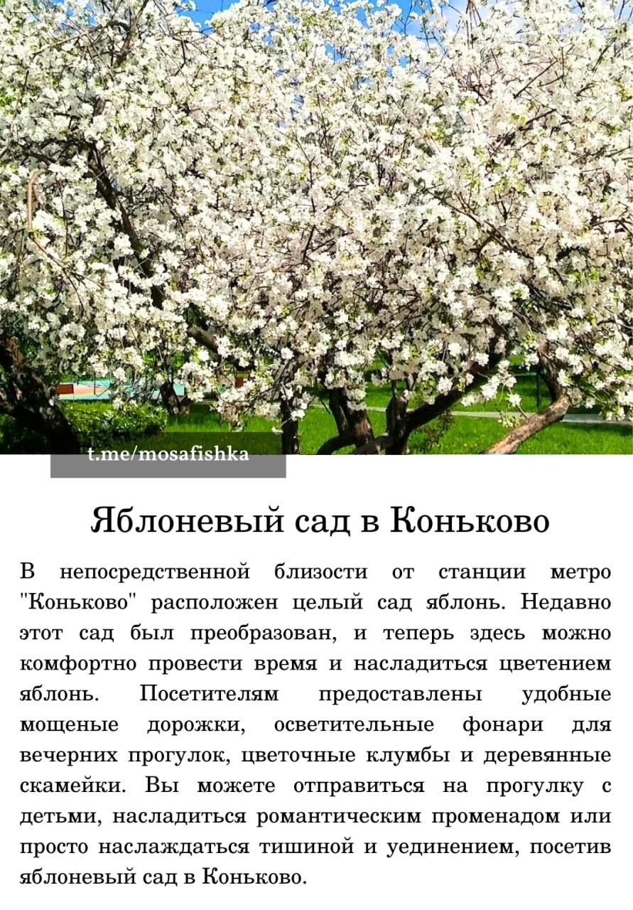 Локации для фотосессии в Москве