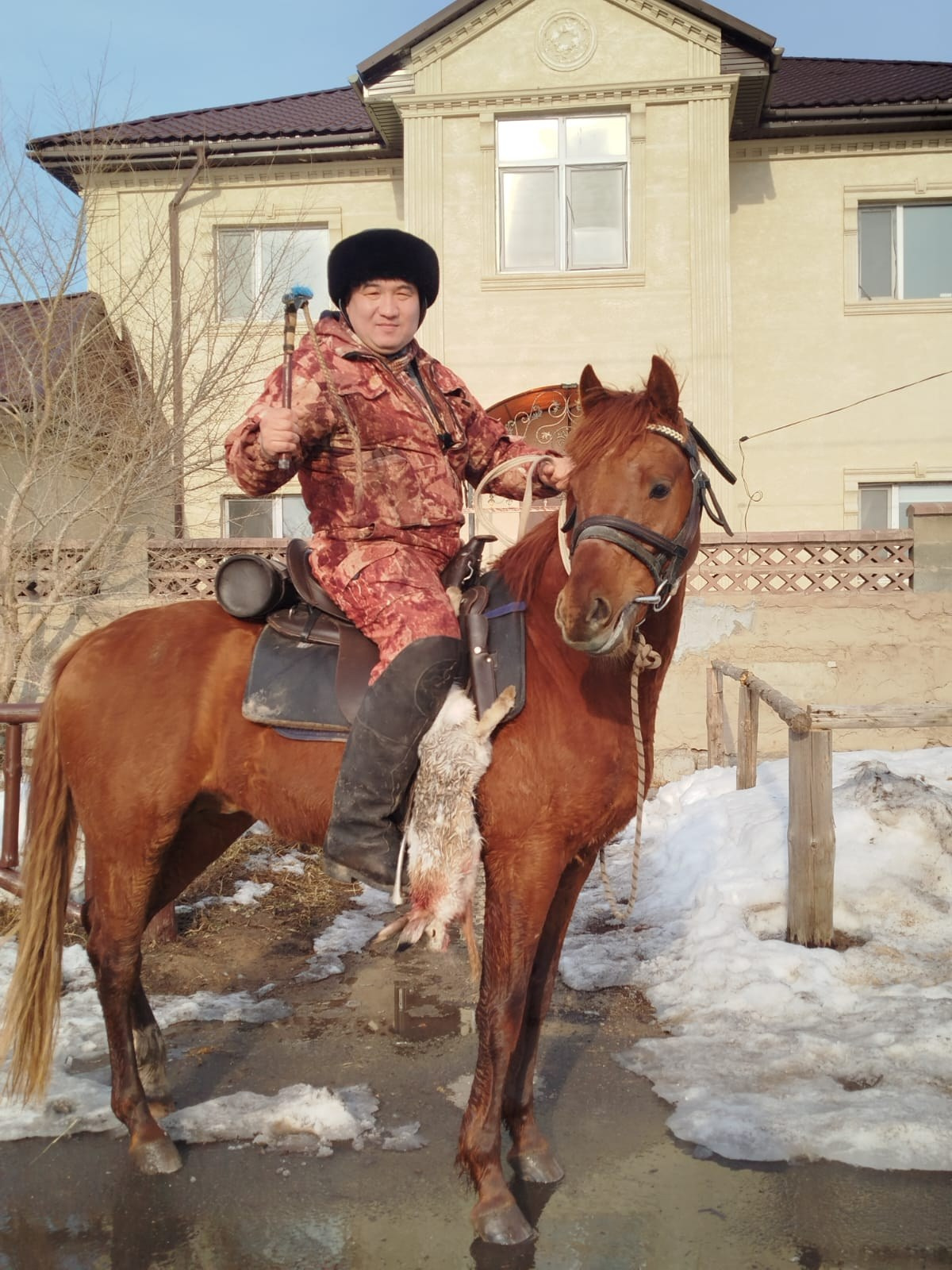 Endurance Rider Webinar Kazakhstan 2025. Liana Antanovich | Equestrian Strategies