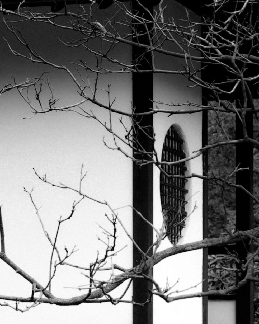 Имиджевая съемка для бренда. Предметный фотограф Москва Кожаева Елена