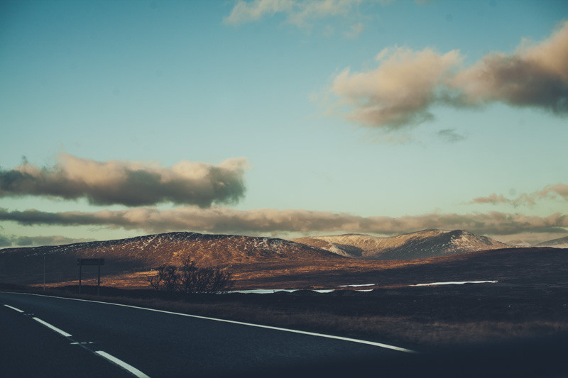 Пейзаж. Дарья Чарторийская — режиссер, продюсер, фотограф, художник, журналист, клинический психолог