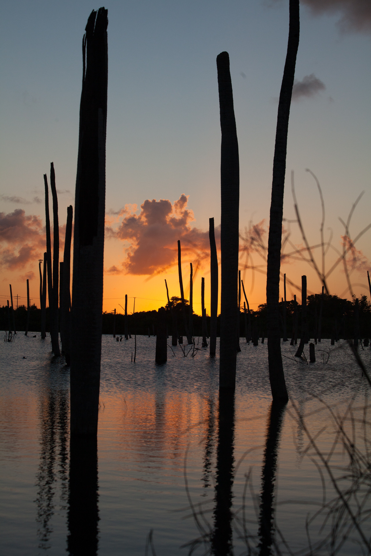 Пейзаж. Дарья Чарторийская — режиссер, продюсер, фотограф, художник, журналист, клинический психолог