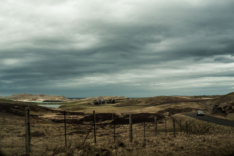 Пейзаж. Дарья Чарторийская — режиссер, продюсер, фотограф, художник, журналист, клинический психолог